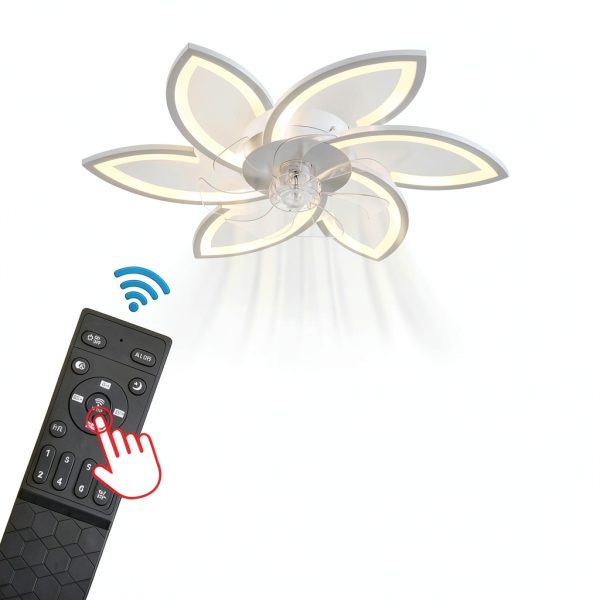 Remote Control For Ceiling Fan with Lights ZHMDJDSH-4